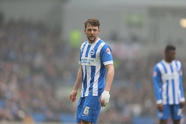 Brighton and Hove Albion's Dale Stephens in Action Against Norwich City - Sky Bet Championship 2015