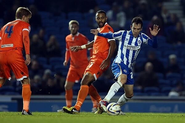 Brighton & Hove Albion's David Lopez in Action Against Millwall, December 18, 2012