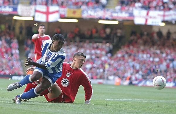 Brighton & Hove Albion's Epic Play-off Final: 2004 Championship Promotion Victory