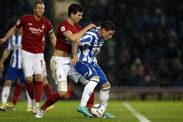 Brighton & Hove Albion's Will Hoskins in Action Against Nottingham Forest, Npower Championship Clash (December 15, 2012)