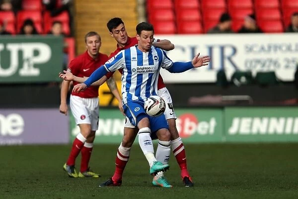 Brighton & Hove Albion's Will Hoskins in Action against Charlton Athletic, Npower Championship, December 8, 2012