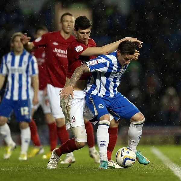 Brighton & Hove Albion's Will Hoskins Amongst the Forest: Npower Championship Clash vs Nottingham Forest (15-12-2012)