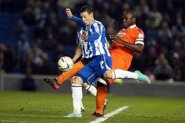 Brighton & Hove Albion's Will Hoskins Shoots Against Millwall in December 2012, Amex Stadium