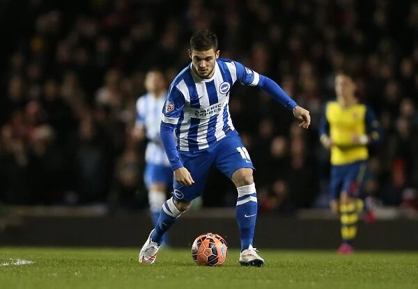 Brighton & Hove Albion's Jake Forster-Caskey in FA Cup Action Against Arsenal (25.01.15)