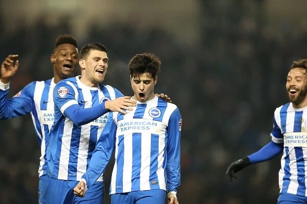 Brighton and Hove Albion's Joao Teixeira Scores Thrilling Goal Against Ipswich Town (January 2015)