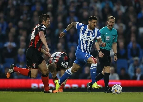 Brighton and Hove Albion's Leon Best in Action Against AFC Bournemouth (April 10, 2015)