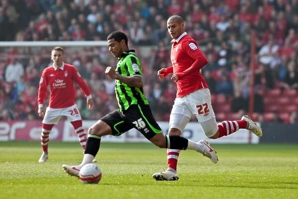 Brighton & Hove Albion's Liam Bridcutt in Action Against Nottingham Forest, March 2012