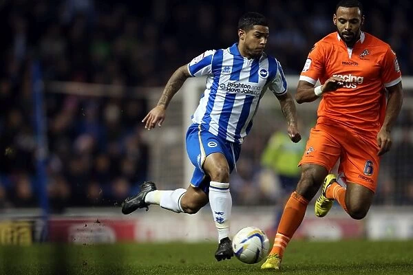 Brighton & Hove Albion's Liam Bridcutt in Action Against Millwall, December 18, 2012