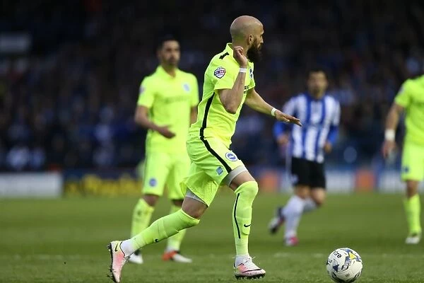 Brighton and Hove Albion's Play-Off Thriller: First Leg vs. Sheffield Wednesday at Hillsborough (May 2016)