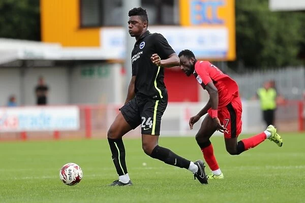 Brighton and Hove Albion's Pre-season Challenge: A Look into the EFL Sky Bet Championship Battle at Crawley Town (16th July 2016)