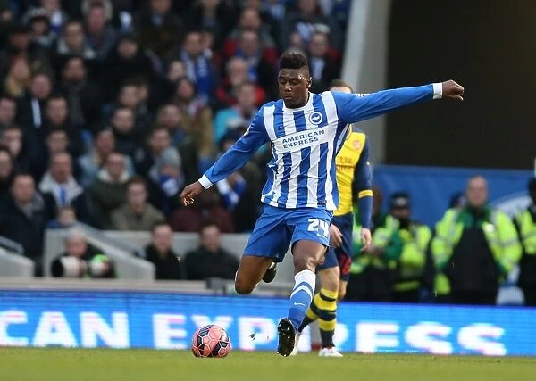 Brighton & Hove Albion's Rohan Ince in FA Cup Action Against Arsenal (January 2015)