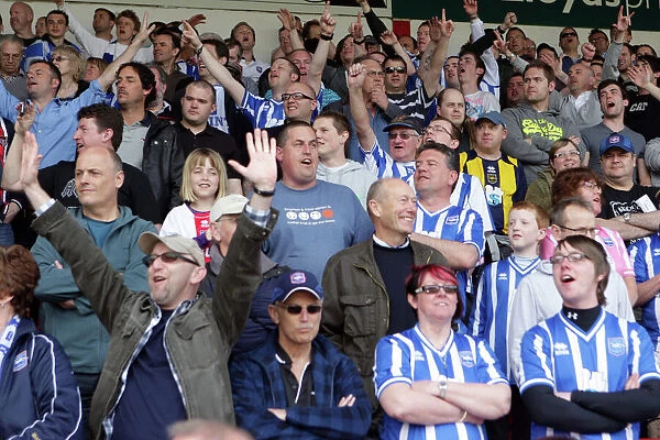 Brighton & Hove Albion's Thrilling Away Victory at Walsall, 2010-11 Season