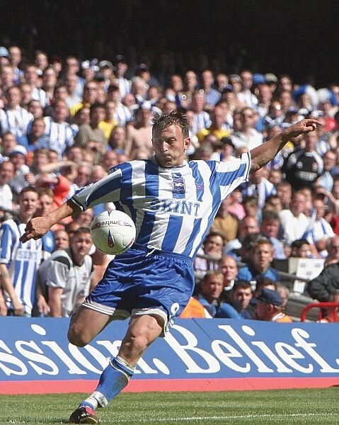 Brighton & Hove Albion's Thrilling Play-off Final Victory in 2004