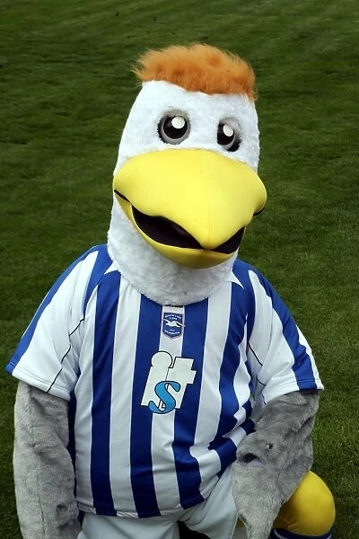 Brighton and Hove Albion's Triple Threat: Gully, Sammy, and Sally