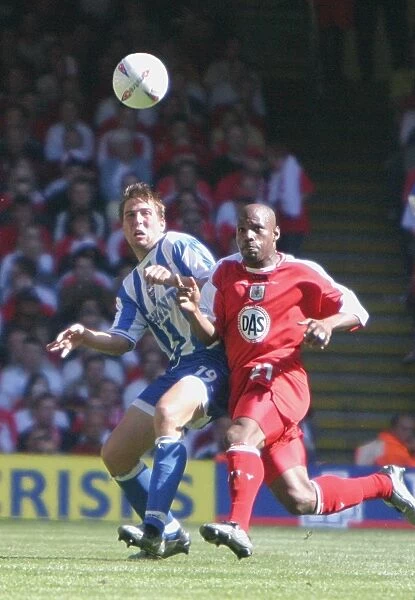 Brighton & Hove Albion's Unforgettable 2004 Play-off Final Triumph