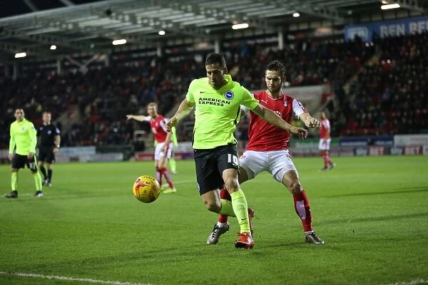 Brighton and Hove Albion's Victory Over Rotherham United in Sky Bet Championship (12 January 2016)