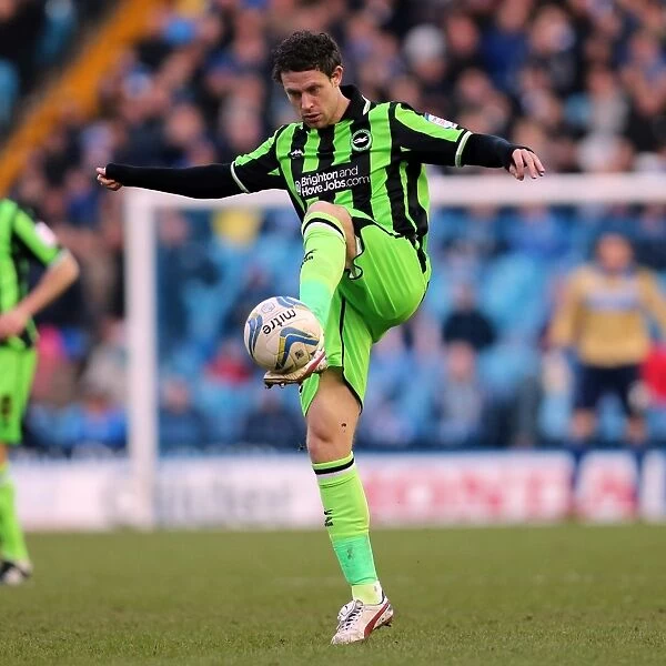 Brighton & Hove Albion's Wayne Bridge in Action Against Sheffield Wednesday, February 2, 2013