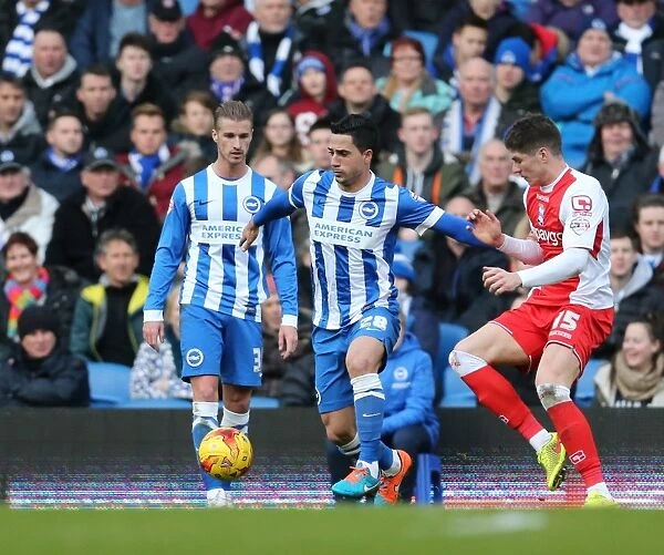 Brighton Midfielder Beram Kayal in Action against Birmingham City (February 2015)