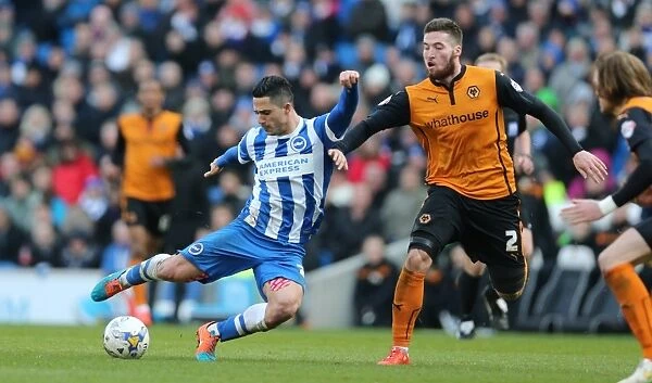 Brighton Midfielder Beram Kayal Fires a Shot Against Wolverhampton Wanderers in Sky Bet Championship Match