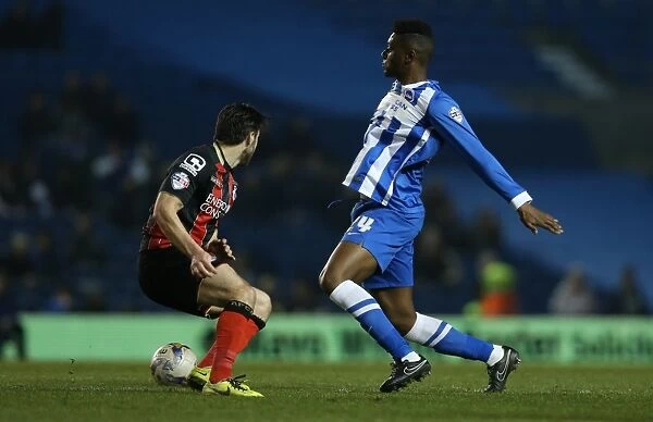 Brighton Midfielder Rohan Ince in Action against AFC Bournemouth (April 2015)
