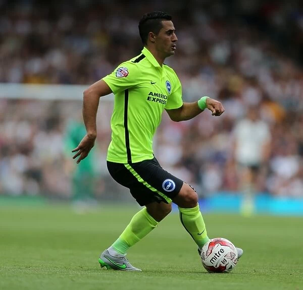 Brighton's Beram Kayal in Action against Fulham in Sky Bet Championship Clash (15 / 08 / 2015)