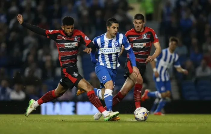 Framed Print : Brighton's Beram Kayal in Action Against Huddersfield Town (14APR15) Framed Print : Brighton's Beram Kayal in Action Against Huddersfield Town (14APR15)