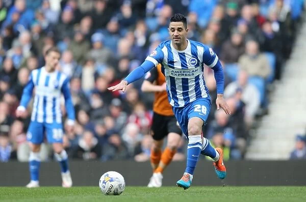 Brighton's Beram Kayal Fights for Possession Against Wolverhampton Wanderers in Sky Bet Championship Clash (14MAR15)