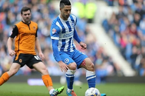 Brighton's Beram Kayal Fights for Possession Against Wolverhampton Wanderers in Championship Clash, March 2015