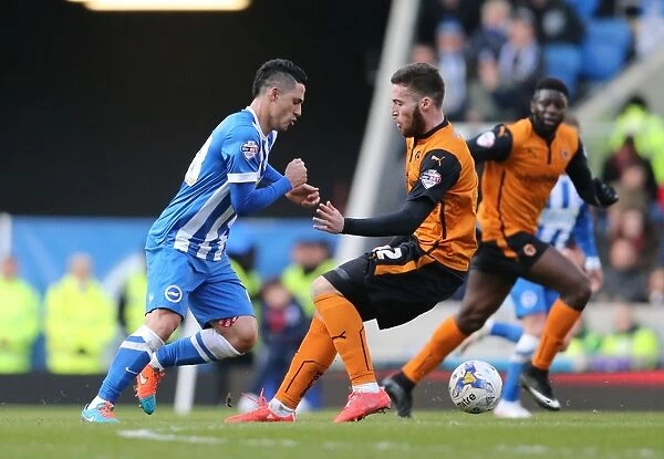 Brighton's Beram Kayal Fights for Possession Against Wolverhampton Wanderers in Championship Clash (14MAR15)