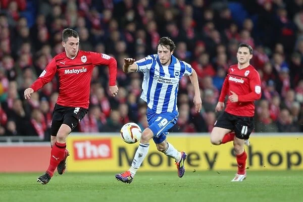 Brighton's Will Buckley Battles for Possession against Cardiff City, Npower Championship 2013