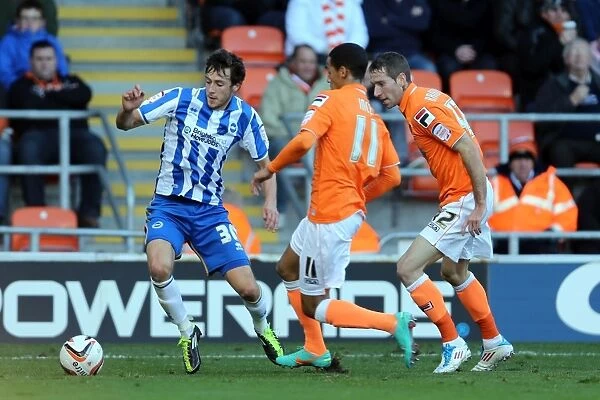 Brighton's Will Buckley Faces Off Against Blackpool in Npower Championship Match, October 27, 2012