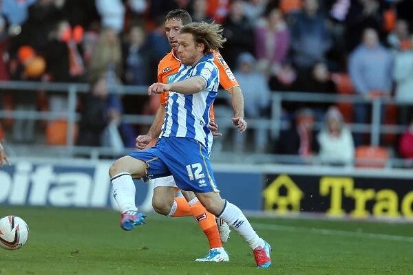 Brighton's Craig Mackail-Smith in Action Against Blackpool, Npower Championship 2012