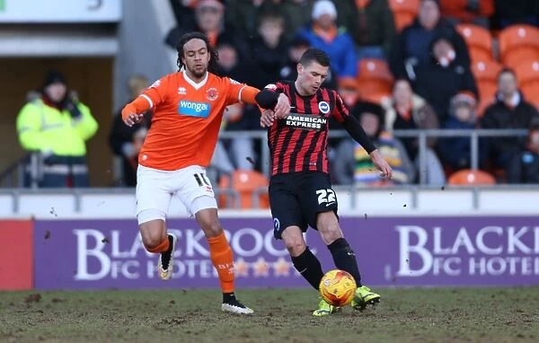 Brighton's Danny Holla in Action against Blackpool (31Jan15)