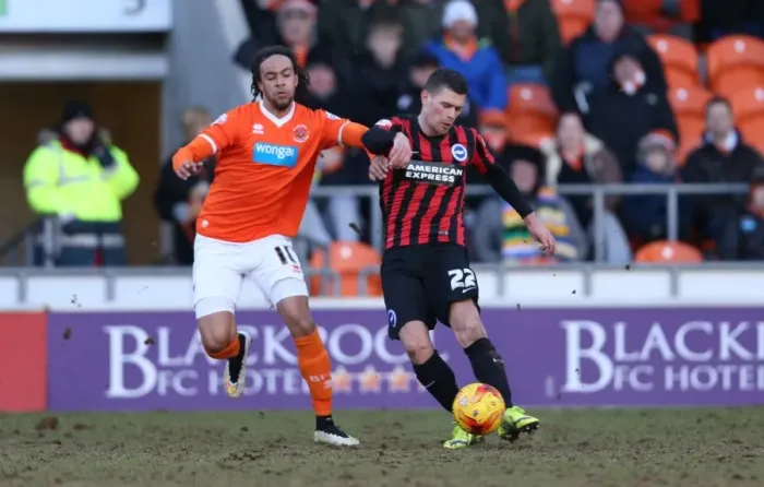 Framed Print : Brighton's Danny Holla in Action against Blackpool (31Jan15) Framed Print : Brighton's Danny Holla in Action against Blackpool (31Jan15)