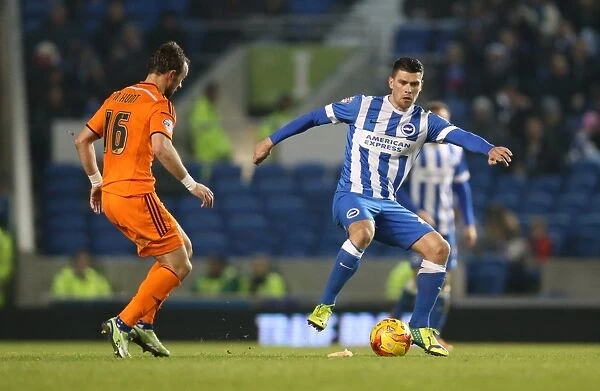 Brighton's Danny Holla Fights for Possession Against Ipswich Town in Sky Bet Championship Clash, January 2015