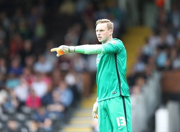 Brighton's David Stockdale in Action: Fulham vs. Brighton and Hove Albion, Sky Bet Championship 2015