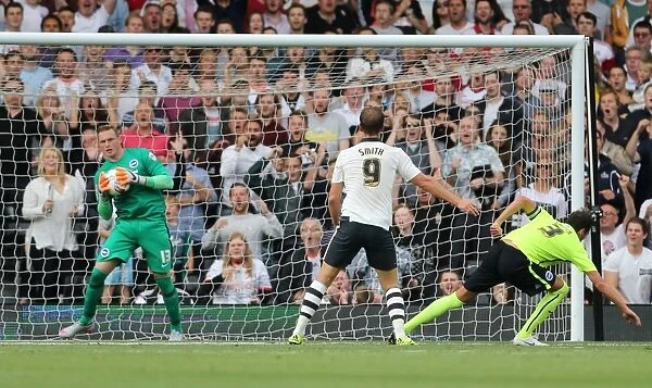 Brighton's David Stockdale Saves: Fulham vs. Brighton & Hove Albion, Sky Bet Championship 2015
