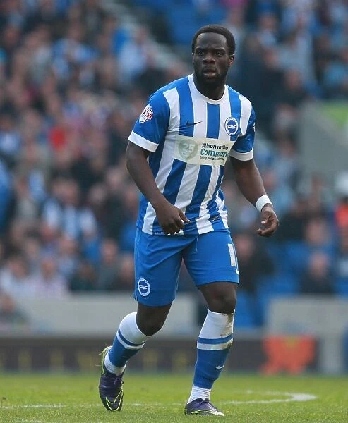Brighton's Elvis Manu Scores on Home Debut Against Cardiff City (03OCT15)