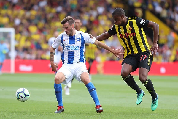 Brighton's Gross Shields Off: Premier League Showdown Between Brighton & Hove Albion and Watford, August 2018
