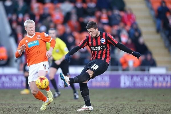 Brighton's Jake Forster-Caskey in Action against Blackpool (Sky Bet Championship, 31Jan15)