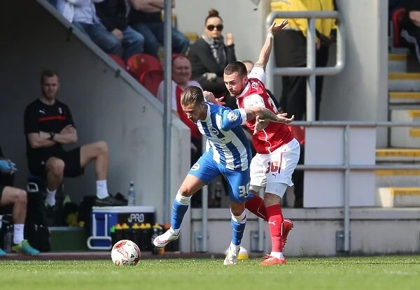 Brighton's Joe Bennett in Action against Rotherham United (6th April 2015)