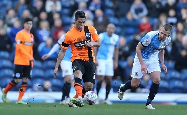 Brighton's Kayal in Action against Blackburn Rovers, Championship 2015