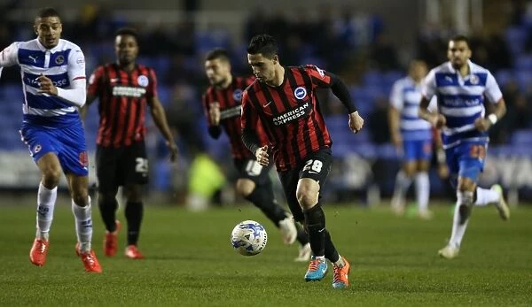 Brighton's Kayal in Action: Reading vs. Brighton and Hove Albion, Championship 2015
