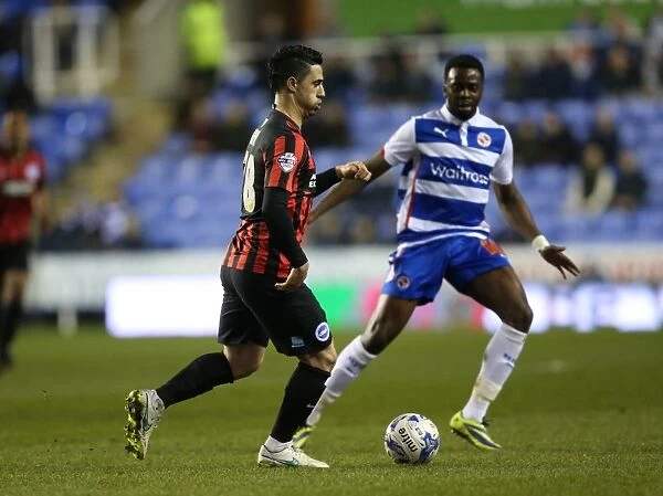 Brighton's Kayal in Action: Reading vs. Brighton and Hove Albion, Championship 2015 - Beram Kayal Midfield Battle