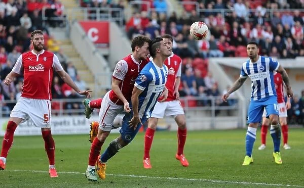 Brighton's Kayal in Action against Rotherham, Sky Bet Championship 2015