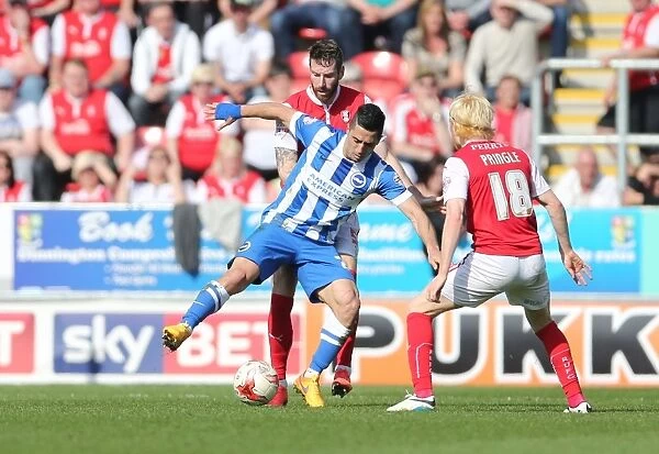 Brighton's Kayal in Action: Rotherham United vs. Brighton and Hove Albion (6th April 2015)