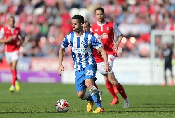 Brighton's Kayal in Action: Sky Bet Championship Clash vs. Rotherham United (06APR15)