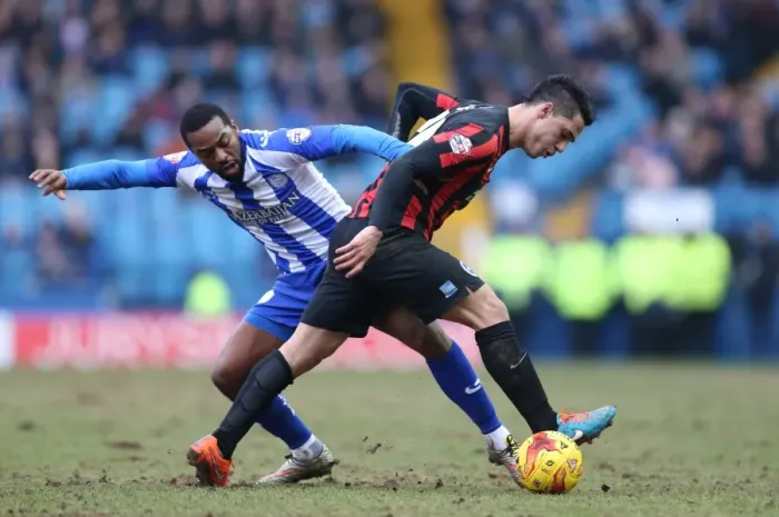 Framed Print : Brighton's Kayal Battles in Sheffield Wednesday Championship Clash, 14FEB15 Framed Print : Brighton's Kayal Battles in Sheffield Wednesday Championship Clash, 14FEB15
