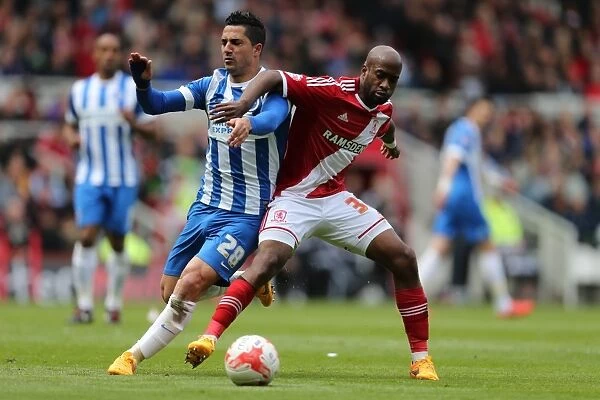Brighton's Kayal Fights for Victory: Middlesbrough vs. Brighton & Hove Albion, May 2015