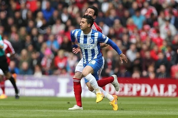 Brighton's Kayal Shines in Middlesbrough Showdown, May 2015